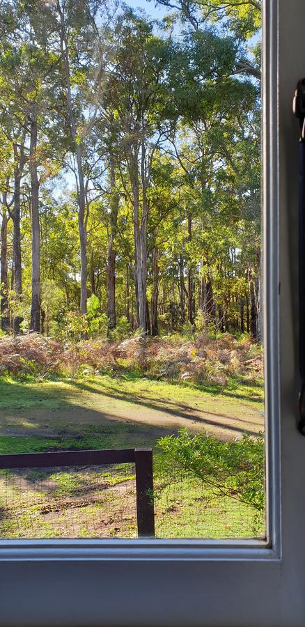 Di's Cabin In Dwellingup - Kingaroy Accommodation 2