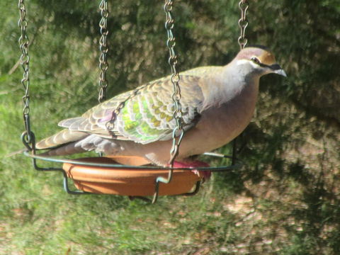 Di's Cabin In Dwellingup - Kingaroy Accommodation 25