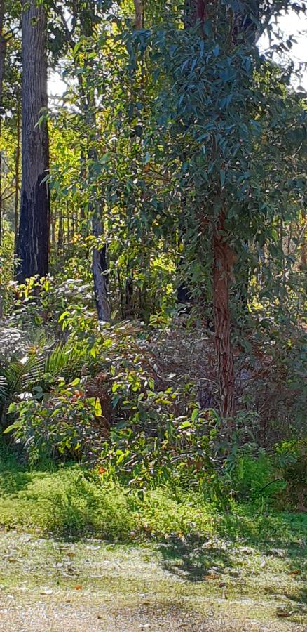 Di's Cabin In Dwellingup - Kingaroy Accommodation 8