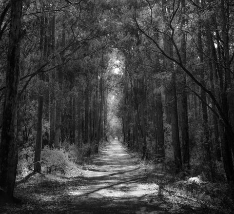 Indoyo Retreat - Kingaroy Accommodation 40