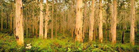 Indoyo Retreat - Kingaroy Accommodation 34