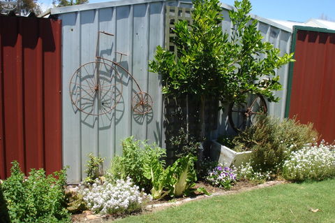 Bluebird Cottage - Kingaroy Accommodation 26