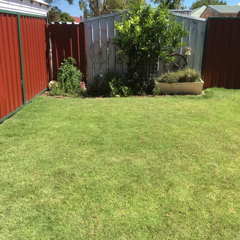 Bluebird Cottage - Kingaroy Accommodation 29