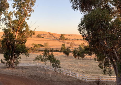 Daisy Cottage - Kingaroy Accommodation 4