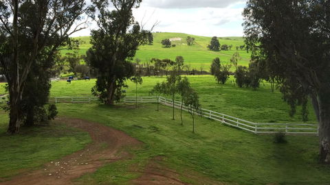 Daisy Cottage - Kingaroy Accommodation 22