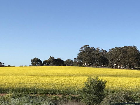 Daisy Cottage - Kingaroy Accommodation 6