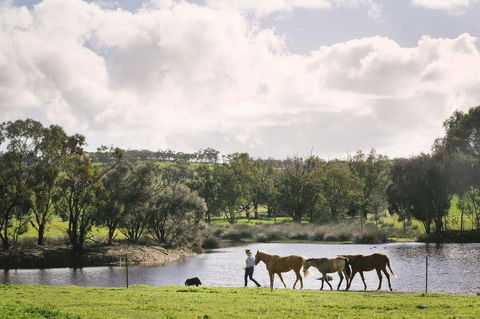 Daisy Cottage - Kingaroy Accommodation 28