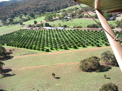 Bindoon's Windmill Farm - Kingaroy Accommodation 3