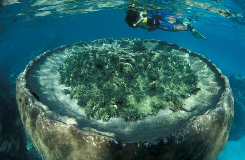 Sal Salis Ningaloo Reef - Kingaroy Accommodation 8