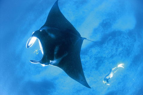 Sal Salis Ningaloo Reef - Kingaroy Accommodation 28