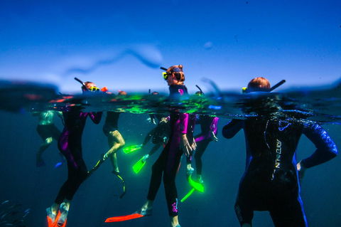 Sal Salis Ningaloo Reef - Kingaroy Accommodation 26