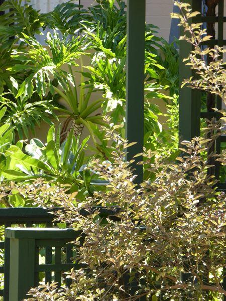 Kalbarri Beach Resort - Kingaroy Accommodation 32