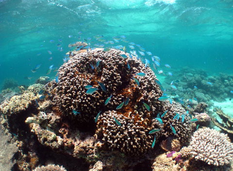 Ningaloo Coral Bay â€“ Bayview - Kingaroy Accommodation 2