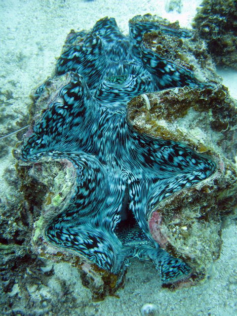 Ningaloo Coral Bay â€“ Bayview - Kingaroy Accommodation 5