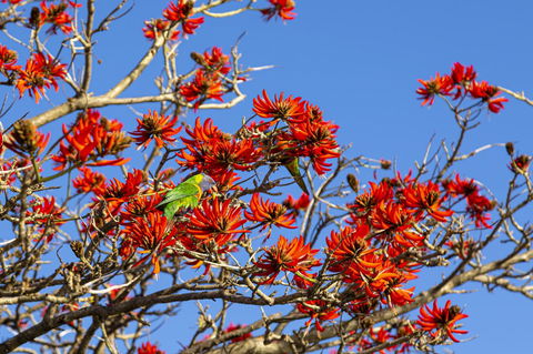 Como Executive Apartment - Kingaroy Accommodation 19