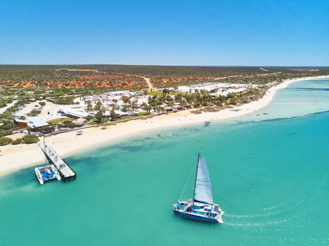RAC Monkey Mia Dolphin Resort - Kingaroy Accommodation 44