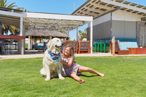 RAC Monkey Mia Dolphin Resort - Kingaroy Accommodation 35