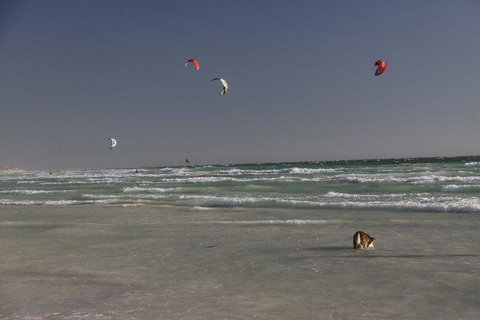 Dongara Tourist Park - Kingaroy Accommodation 33