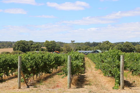 Burton Farmhouse - Kingaroy Accommodation 11