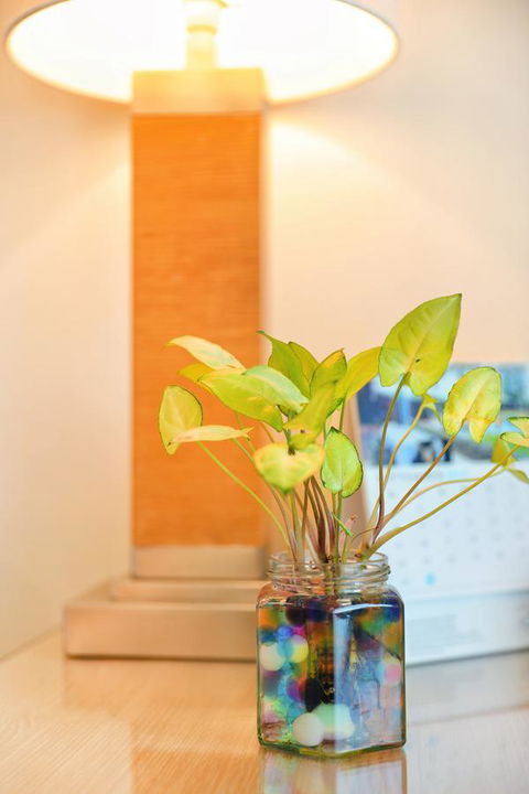 Bunbury Hotel Koombana Bay - Kingaroy Accommodation 7