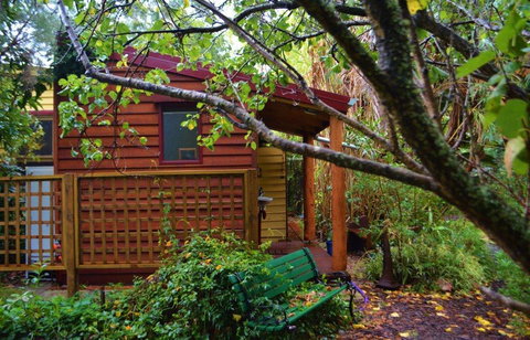 Black Cockatoo Lodge - Kingaroy Accommodation 36