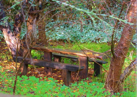 Black Cockatoo Lodge - Kingaroy Accommodation 44