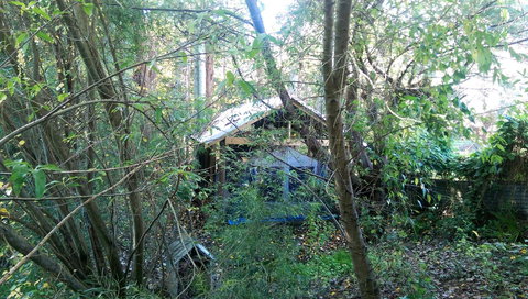 Black Cockatoo Lodge - Kingaroy Accommodation 22