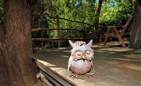 Black Cockatoo Lodge - Kingaroy Accommodation 8