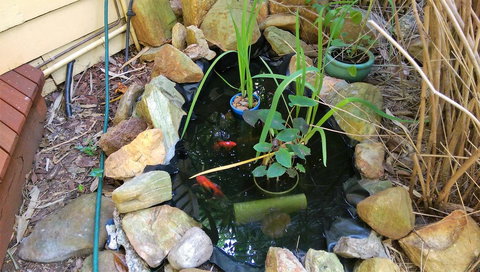 Black Cockatoo Lodge - Kingaroy Accommodation 29