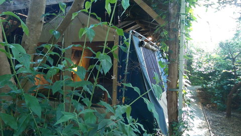 Black Cockatoo Lodge - Kingaroy Accommodation 13