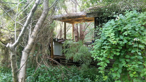 Black Cockatoo Lodge - Kingaroy Accommodation 6