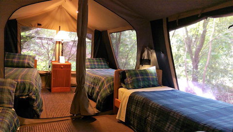 Black Cockatoo Lodge - Kingaroy Accommodation 17