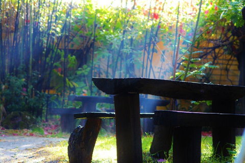 Black Cockatoo Lodge - Kingaroy Accommodation 43