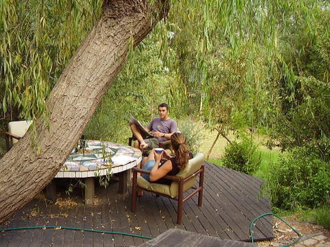 Black Cockatoo Lodge - Kingaroy Accommodation 35