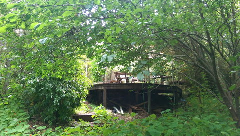 Black Cockatoo Lodge - Kingaroy Accommodation 23