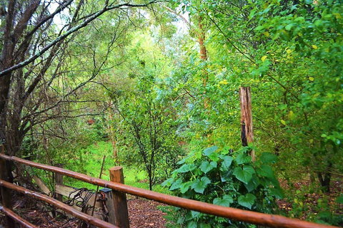 Black Cockatoo Lodge - Kingaroy Accommodation 28