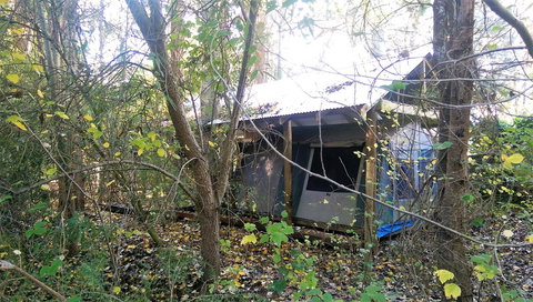 Black Cockatoo Lodge - Kingaroy Accommodation 11