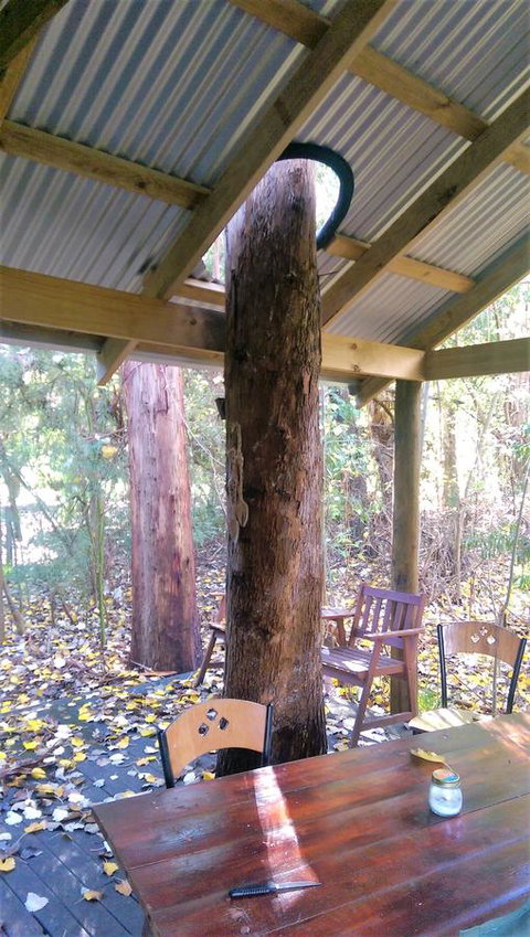 Black Cockatoo Lodge - Kingaroy Accommodation 19