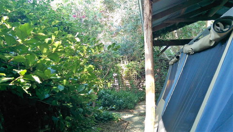 Black Cockatoo Lodge - Kingaroy Accommodation 12