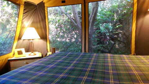 Black Cockatoo Lodge - Kingaroy Accommodation 16