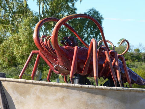 Leander Reef Holiday Park - Kingaroy Accommodation 4