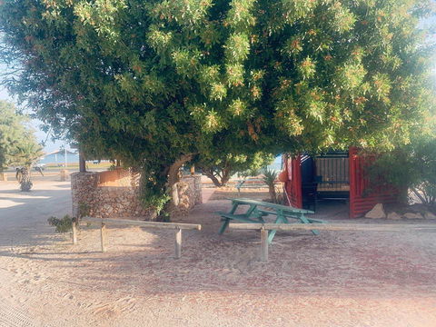 Shark Bay Cottages - Kingaroy Accommodation 35
