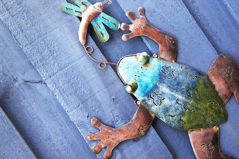 Aquatic Visions - Kingaroy Accommodation 44