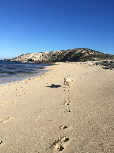 Aquatic Visions - Kingaroy Accommodation 36