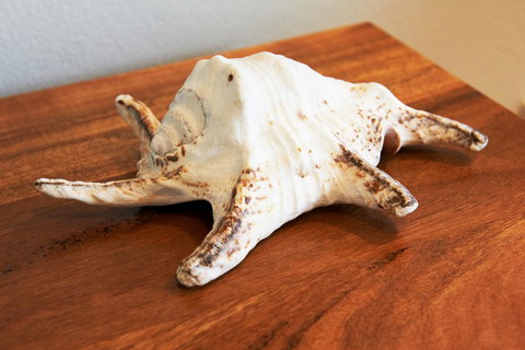 Aquatic Visions - Kingaroy Accommodation 40