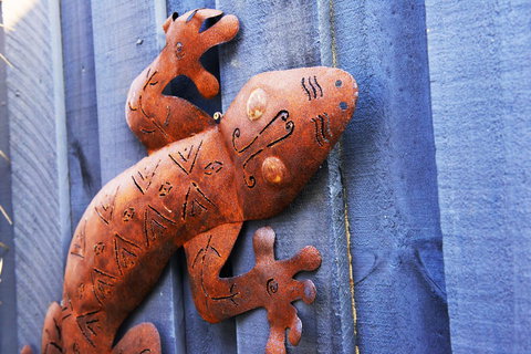 Aquatic Visions - Kingaroy Accommodation 38