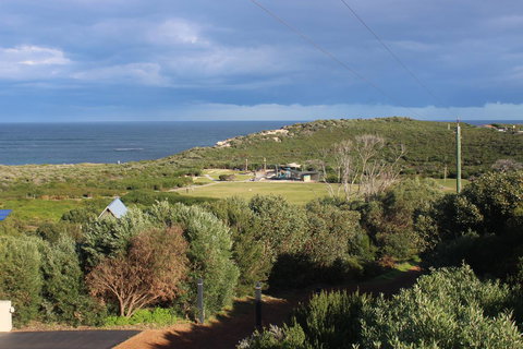 Aquatic Visions - Kingaroy Accommodation 29