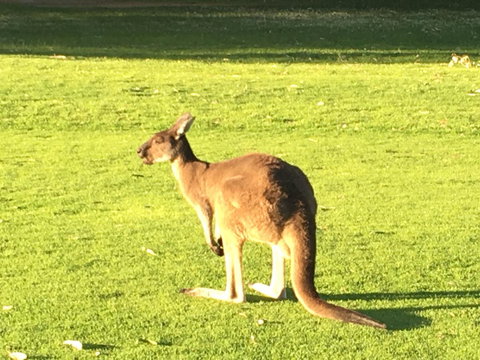 Aquatic Visions - Kingaroy Accommodation 41