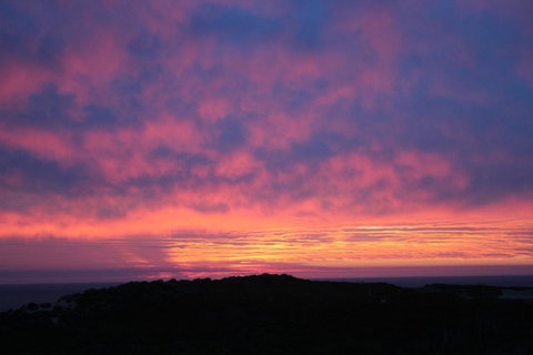 Aquatic Visions - Kingaroy Accommodation 43