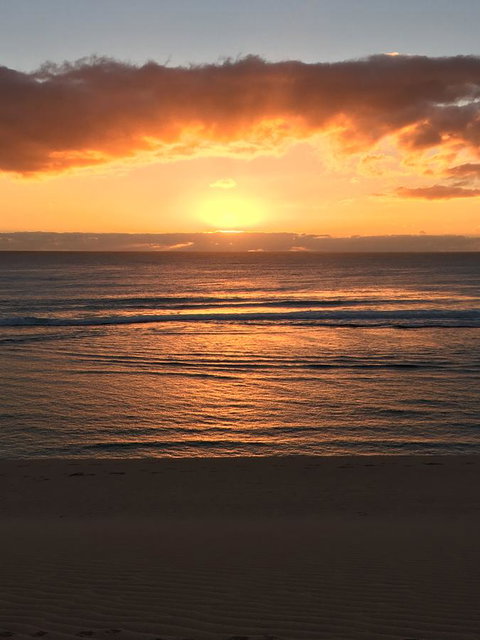 Aquatic Visions - Kingaroy Accommodation 35